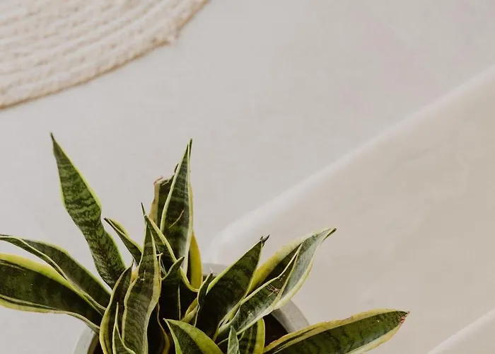 شقة فندقية Vinedo Luxury Escape 3*